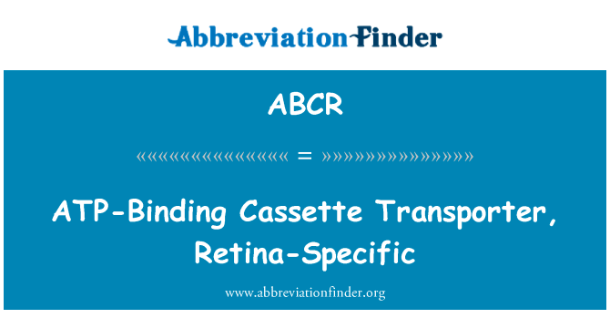 ATP 结合盒转运体，视网膜特定英文定义是ATP-Binding Cassette Transporter, Retina-Specific,首字母缩写定义是ABCR