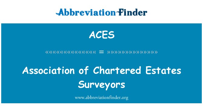 渣打银行的屋测量师协会英文定义是Association of Chartered Estates Surveyors,首字母缩写定义是ACES