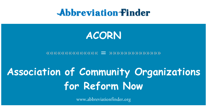 现在改革社区组织协会英文定义是Association of Community Organizations for Reform Now,首字母缩写定义是ACORN
