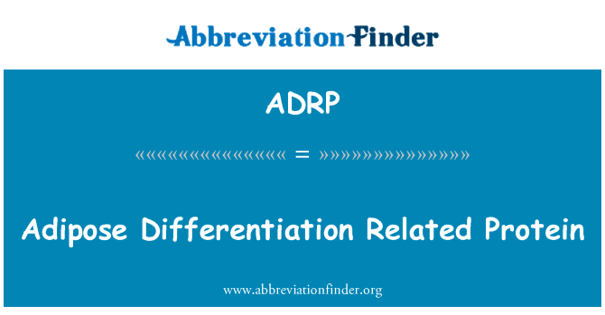 脂肪分化相关蛋白英文定义是Adipose Differentiation Related Protein,首字母缩写定义是ADRP