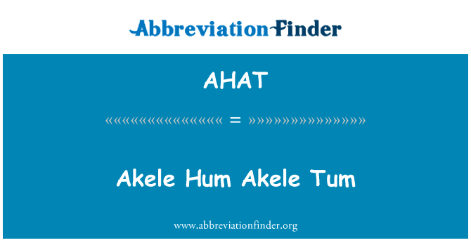 Akele Hum Akele Tum的定义