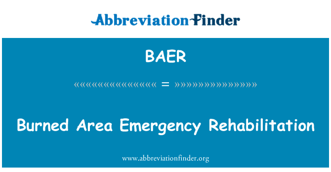 Burned Area Emergency Rehabilitation的定义
