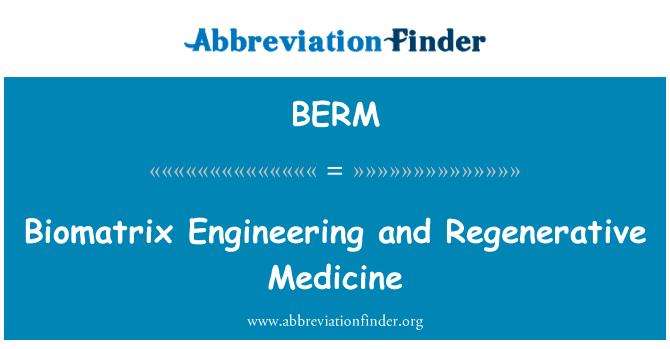 Biomatrix 工程和再生医学英文定义是Biomatrix Engineering and Regenerative Medicine,首字母缩写定义是BERM