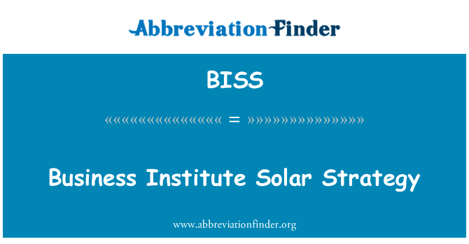 Business Institute Solar Strategy的定义