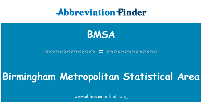 Birmingham Metropolitan Statistical Area的定义