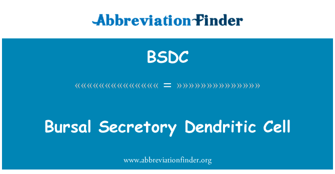 Bursal Secretory Dendritic Cell的定义