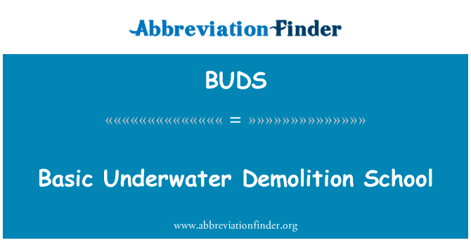 Basic Underwater Demolition School的定义