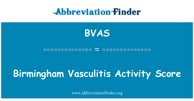 Birmingham Vasculitis Activity Score的定义