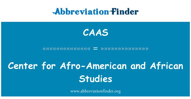 Center for Afro-American and African Studies的定义