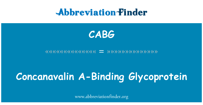 刀豆素 A 素结合糖蛋白英文定义是Concanavalin A-Binding Glycoprotein,首字母缩写定义是CABG