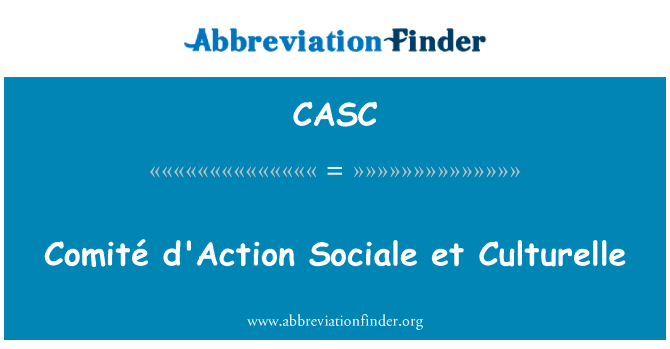 Comité d'Action Sociale et Culturelle的定义