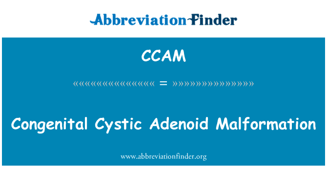 Congenital Cystic Adenoid Malformation的定义