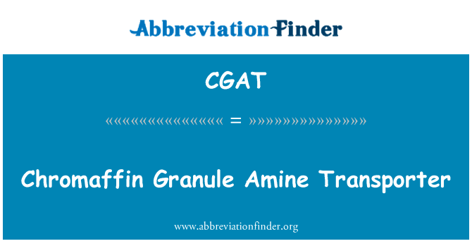Chromaffin Granule Amine Transporter的定义