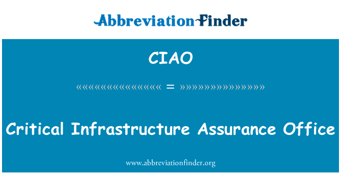 Critical Infrastructure Assurance Office的定义