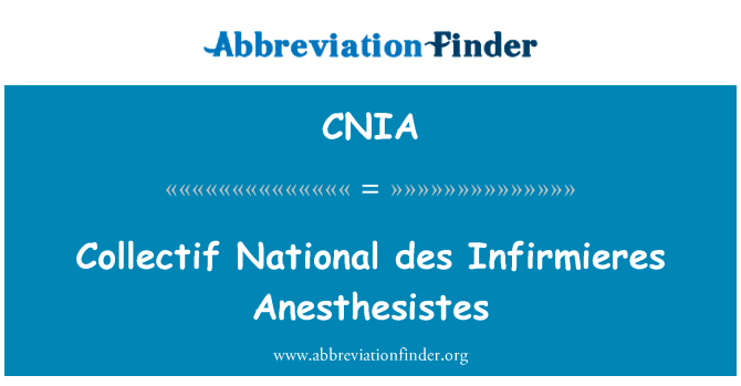建立国家 des Infirmieres Anesthesistes英文定义是Collectif National des Infirmieres Anesthesistes,首字母缩写定义是CNIA