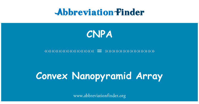 凸 Nanopyramid 数组英文定义是Convex Nanopyramid Array,首字母缩写定义是CNPA