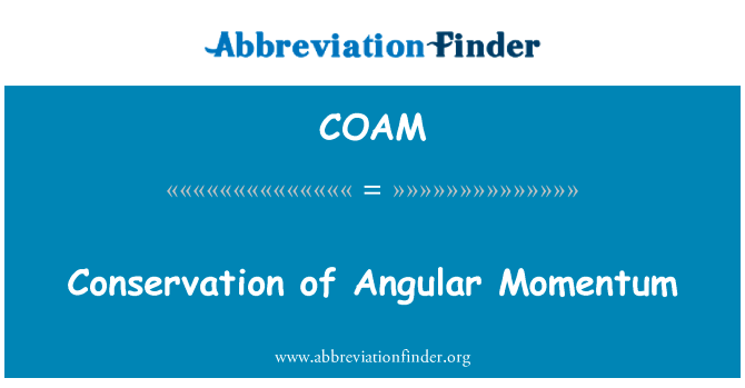 Conservation of Angular Momentum的定义