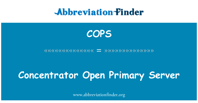 Concentrator Open Primary Server的定义