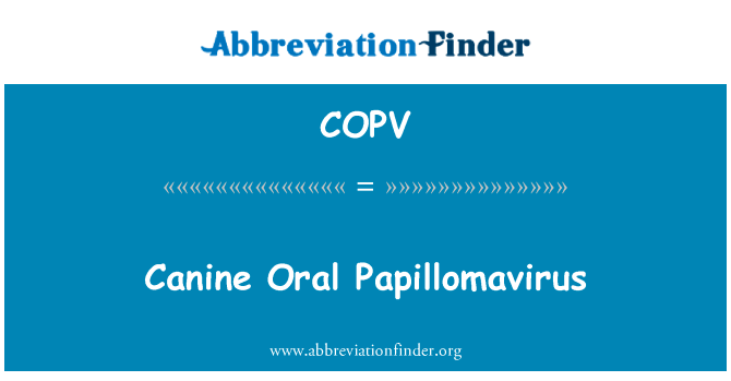 Canine Oral Papillomavirus的定义