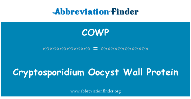 隐孢子虫卵囊壁蛋白英文定义是Cryptosporidium Oocyst Wall Protein,首字母缩写定义是COWP