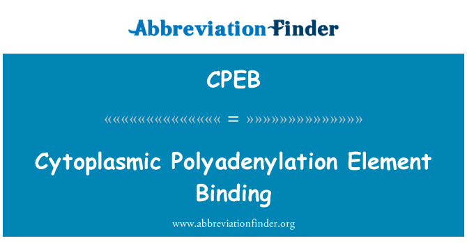 细胞质酸化元素的绑定英文定义是Cytoplasmic Polyadenylation Element Binding,首字母缩写定义是CPEB