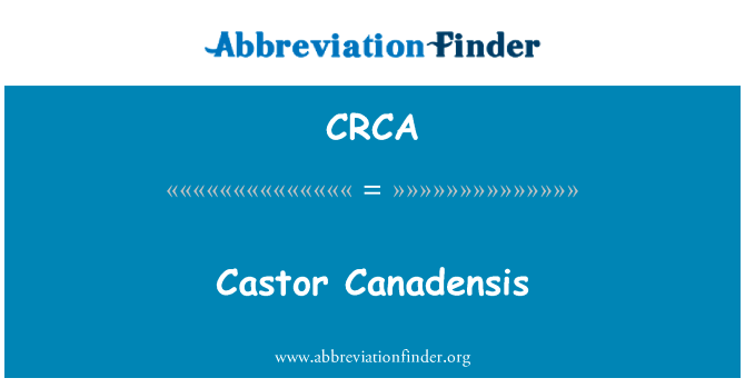 Castor Canadensis的定义