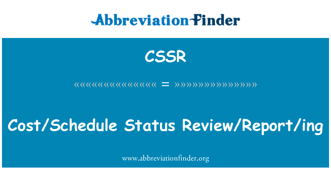 CostSchedule Status ReviewReporting的定义
