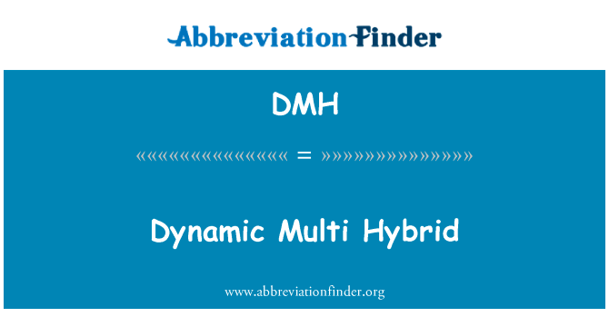 动态多混合英文定义是Dynamic Multi Hybrid,首字母缩写定义是DMH