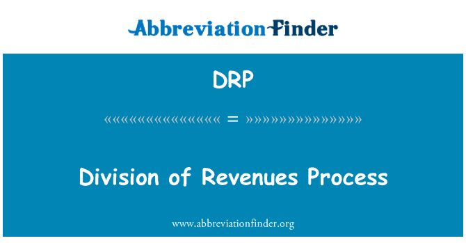 收入过程的分工英文定义是Division of Revenues Process,首字母缩写定义是DRP