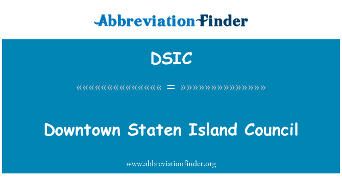 Downtown Staten Island Council的定义