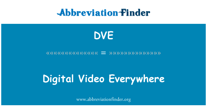 Digital Video Everywhere的定义