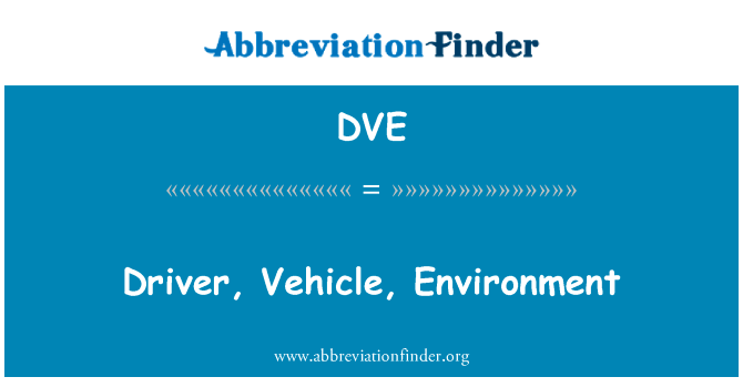 Driver, Vehicle, Environment的定义