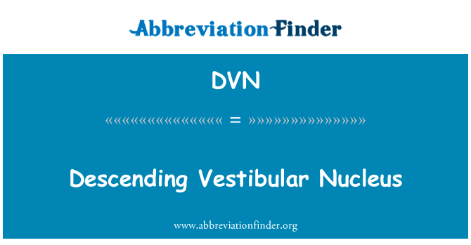 降序前庭神经核群英文定义是Descending Vestibular Nucleus,首字母缩写定义是DVN