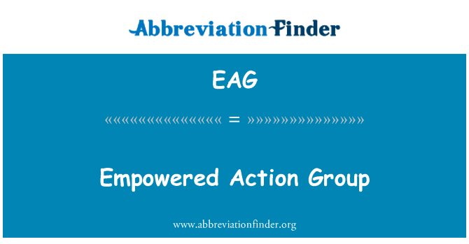 授权的行动小组英文定义是Empowered Action Group,首字母缩写定义是EAG