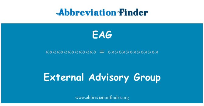 外部咨询小组英文定义是External Advisory Group,首字母缩写定义是EAG