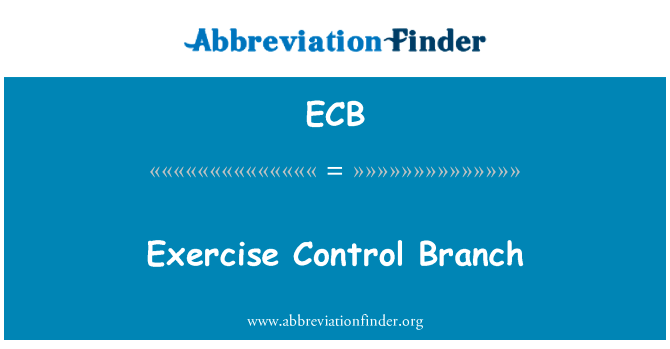 运动控制分支英文定义是Exercise Control Branch,首字母缩写定义是ECB
