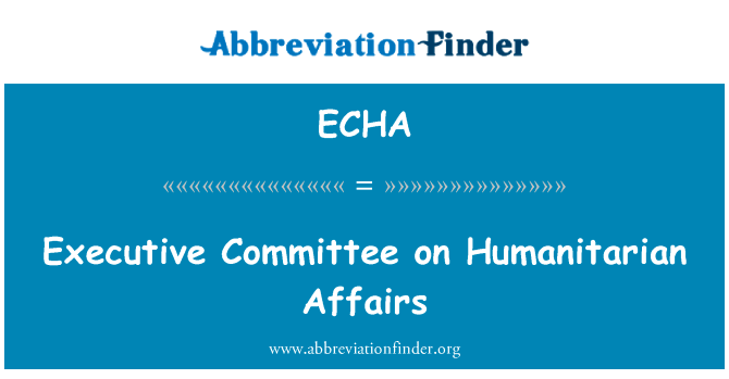 人道主义事务执行委员会英文定义是Executive Committee on Humanitarian Affairs,首字母缩写定义是ECHA