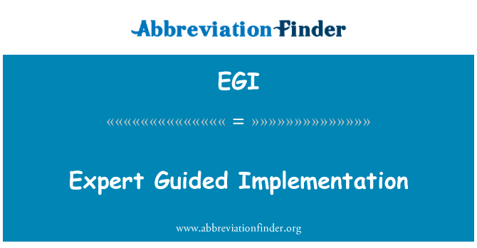 专家指导执行英文定义是Expert Guided Implementation,首字母缩写定义是EGI