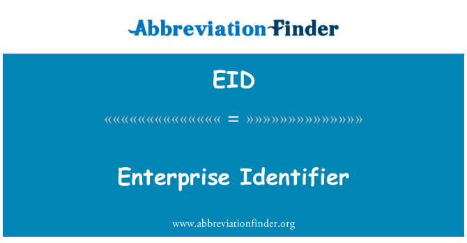 Enterprise Identifier的定义