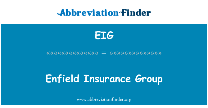 恩菲尔德保险集团英文定义是Enfield Insurance Group,首字母缩写定义是EIG
