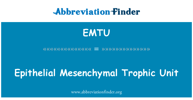 Epithelial Mesenchymal Trophic Unit的定义