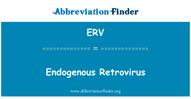 内源性逆转录病毒英文定义是Endogenous Retrovirus,首字母缩写定义是ERV