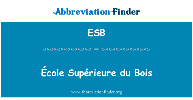 一科尔 SupÃ © rieure 杜波依斯英文定义是École Supérieure du Bois,首字母缩写定义是ESB
