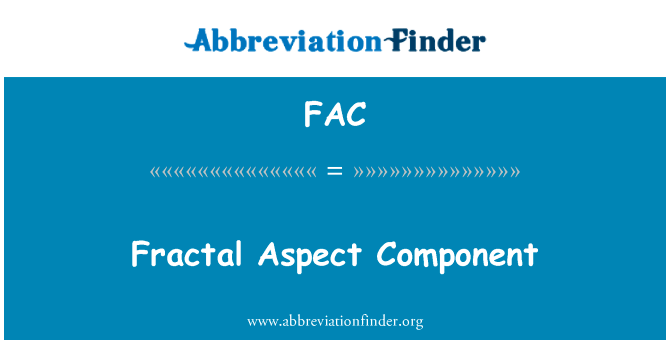 Fractal Aspect Component的定义