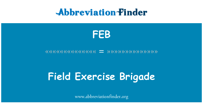 领域行使旅英文定义是Field Exercise Brigade,首字母缩写定义是FEB