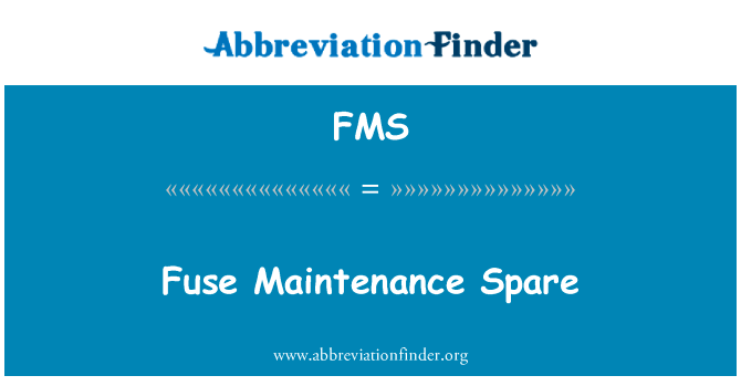 Fuse Maintenance Spare的定义