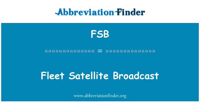 Fleet Satellite Broadcast的定义