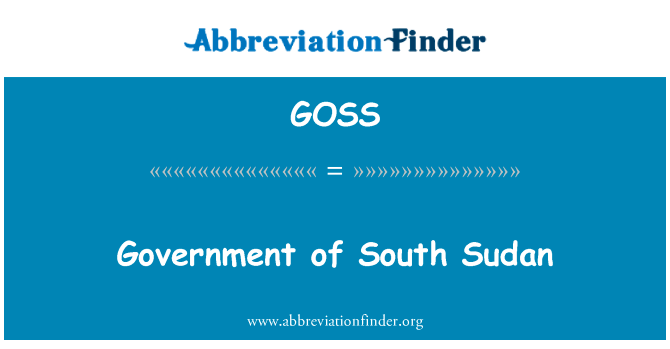 Government of South Sudan的定义