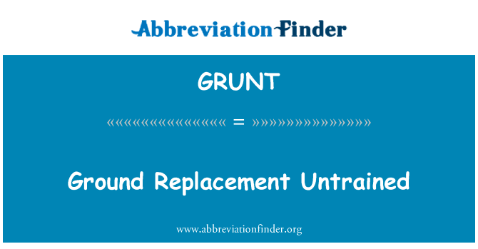 Ground Replacement Untrained的定义