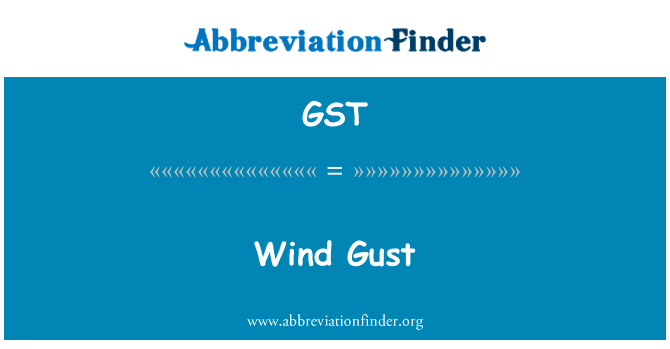 Wind Gust的定义